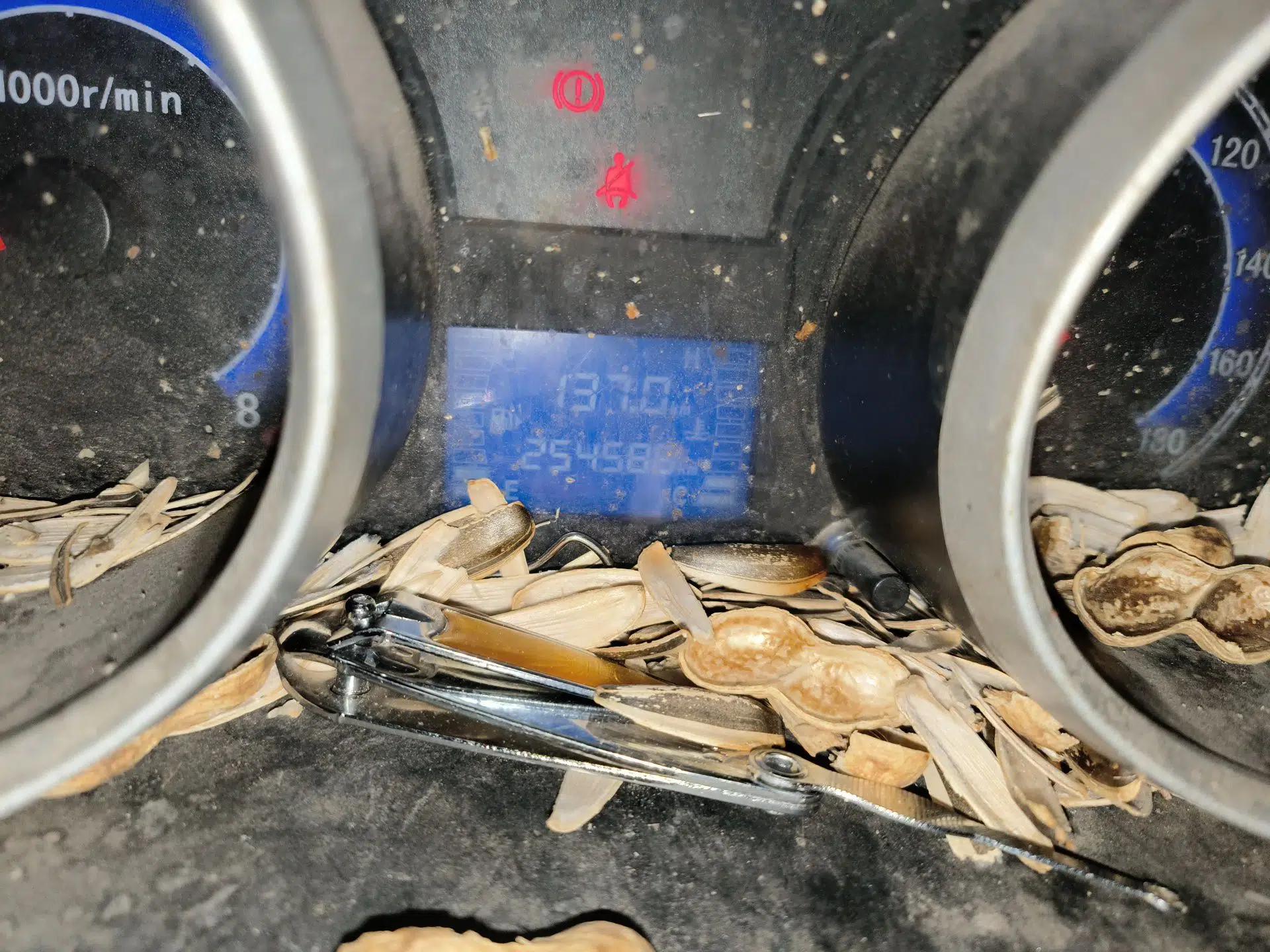 CHANGAN KAICHENG Ruixing M80 2014 1.5L Standard Version 4G15S — миниатюра 13