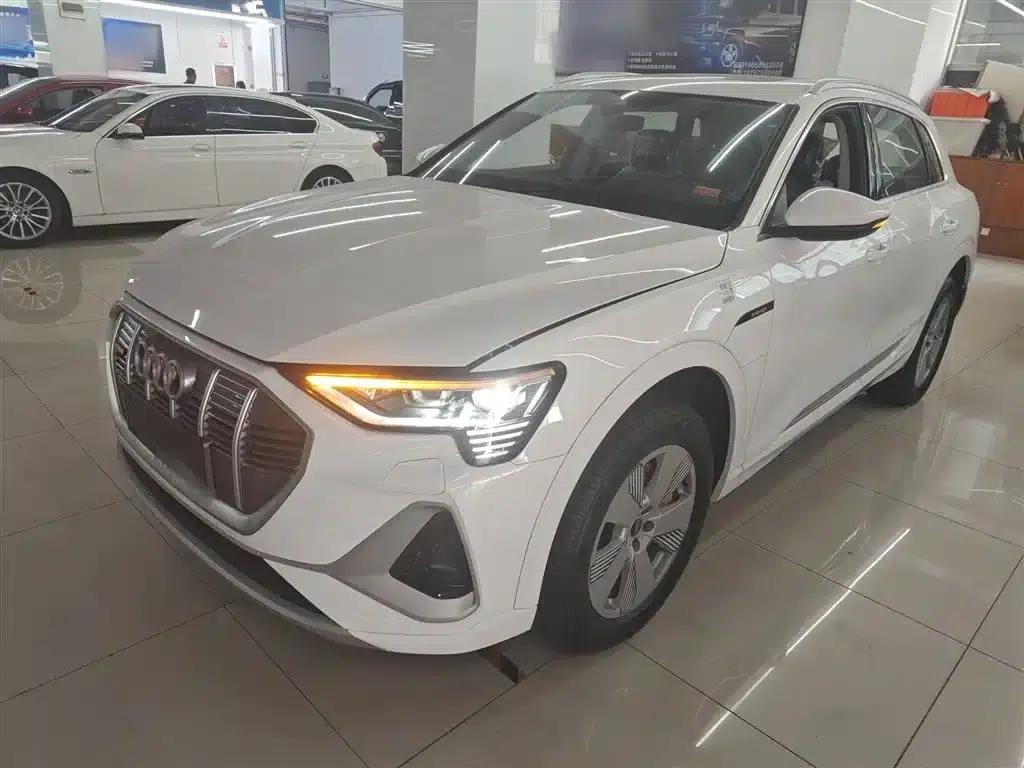 Audi e-tron 2021 50 quattro Luxury — миниатюра 1