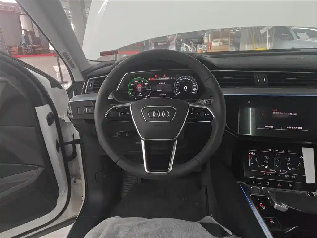 Audi e-tron 2021 50 quattro Luxury — миниатюра 11