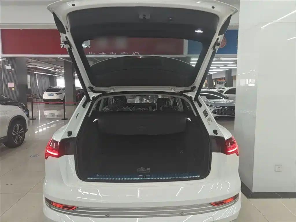 Audi e-tron 2021 50 quattro Luxury — миниатюра 19