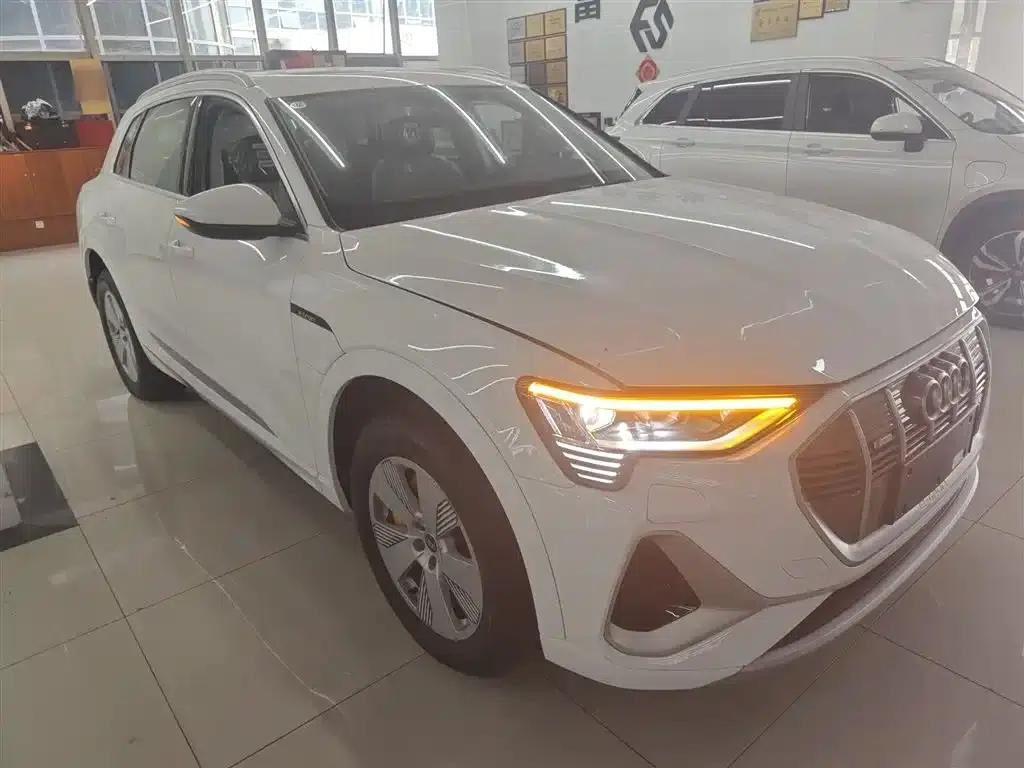 Audi e-tron 2021 50 quattro Luxury — миниатюра 4