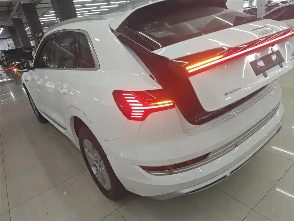 Audi e-tron 2021 50 quattro Luxury — миниатюра 5