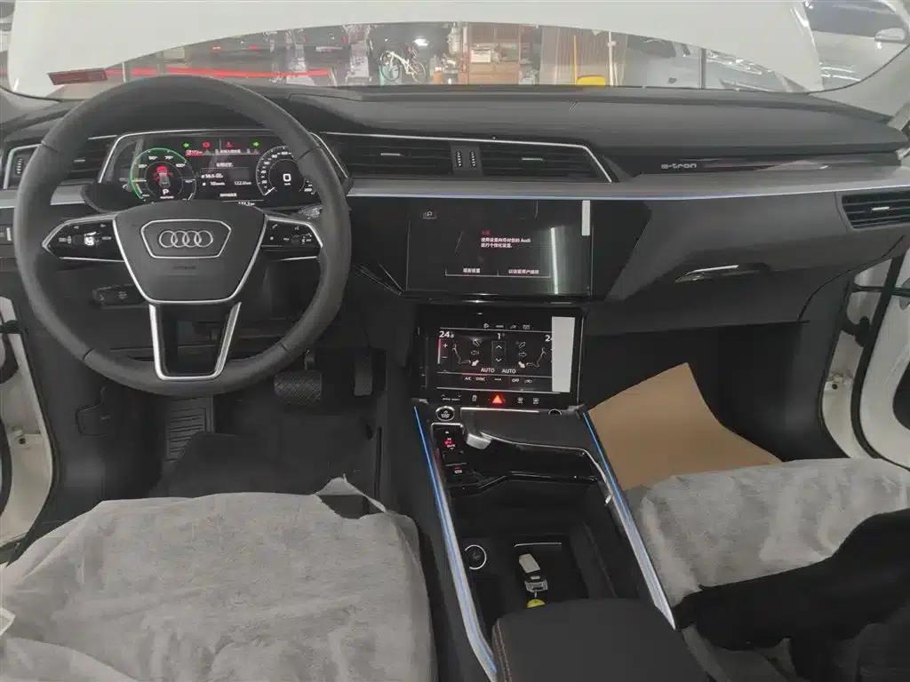 Audi e-tron 2021 50 quattro Luxury — миниатюра 10