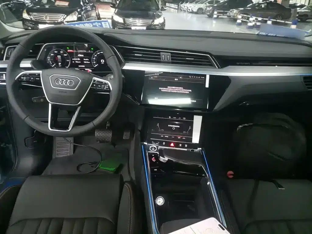 Audi e-tron 2021 50 quattro Luxury — миниатюра 7