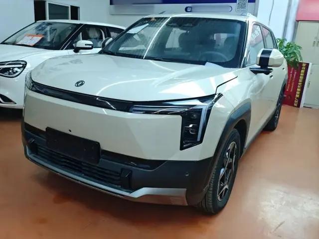 Dongfeng NAMMI 06 2025 401 Air