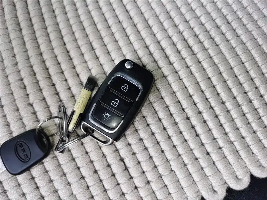 Golden Sea Lion Classic 2021 Model 2.0L Passenger Van Touring Lion 7-Seater — миниатюра 11