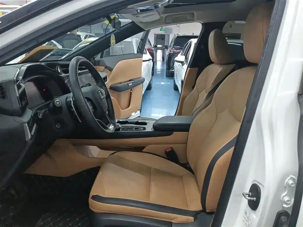 Lexus RZ 2023 450e AWD Luxury Edition — миниатюра 11