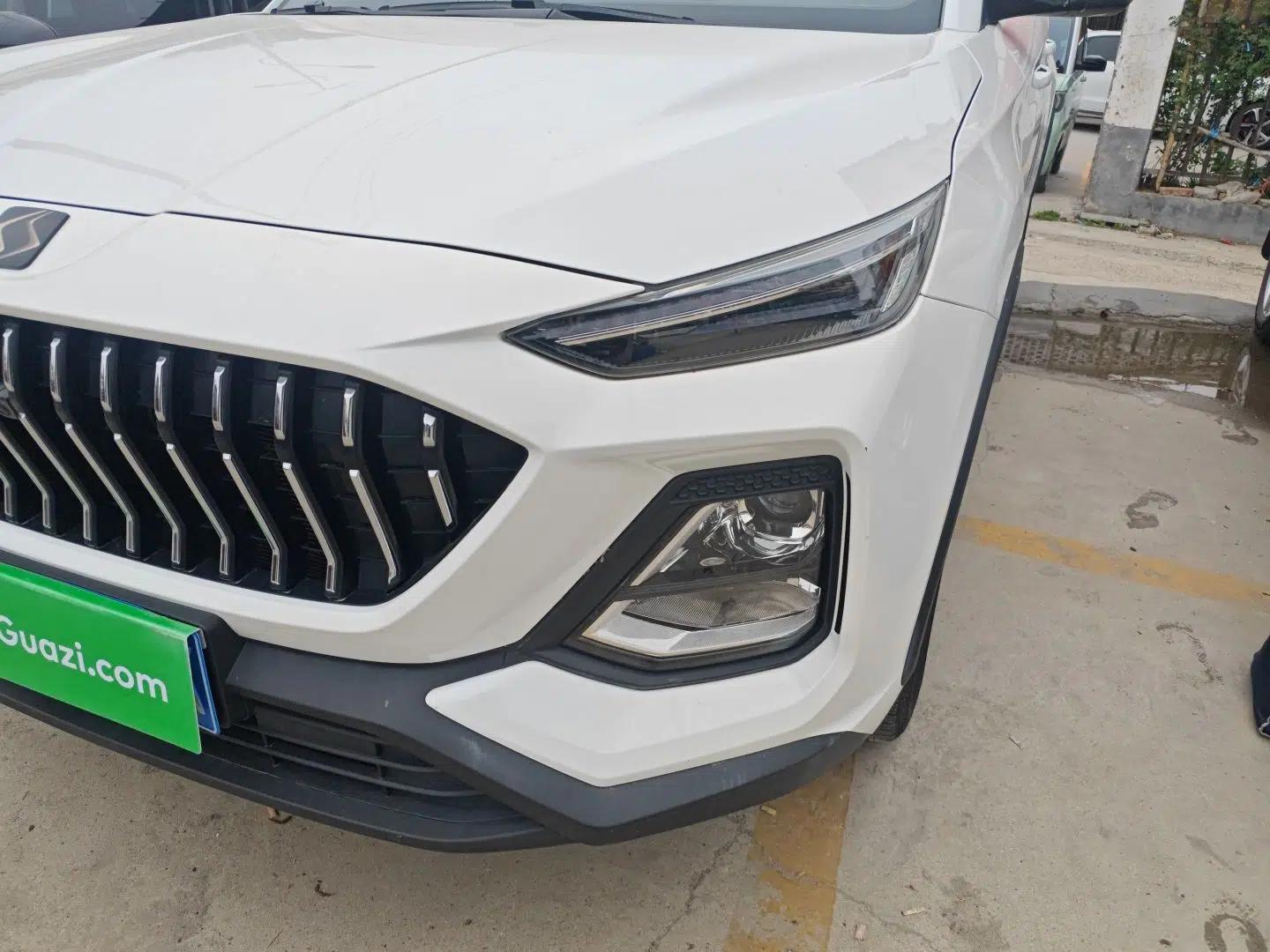 SOL X8 2021 300T DCT Luxury Smart Connect Edition 5 Seats — миниатюра 2