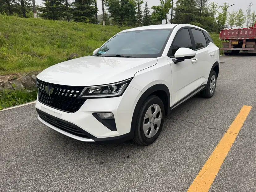 Wuling Alvez 2022 1.5L Manual Free-Style Model — миниатюра 1