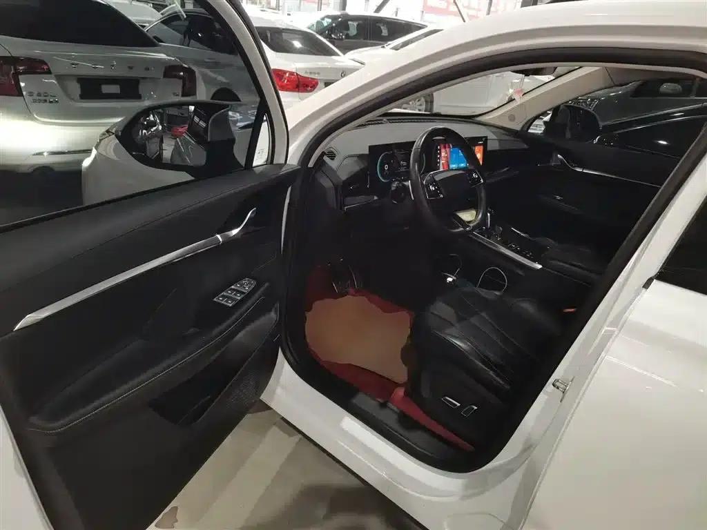 Roewe RX5 eMAX 2022 1.5T PHEV Fearless Premium Edition — миниатюра 16
