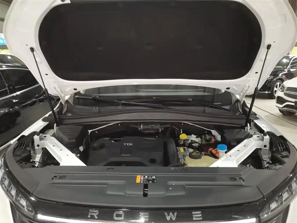 Roewe RX5 eMAX 2022 1.5T PHEV Fearless Premium Edition — миниатюра 20