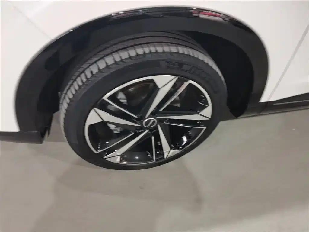 Roewe RX5 eMAX 2022 1.5T PHEV Fearless Premium Edition — миниатюра 23