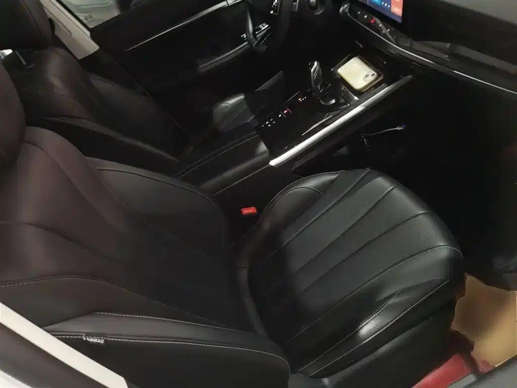Roewe RX5 eMAX 2022 1.5T PHEV Fearless Premium Edition — миниатюра 25