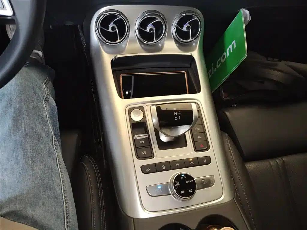 Denza X 2020 PHEV Flagship Edition — миниатюра 14