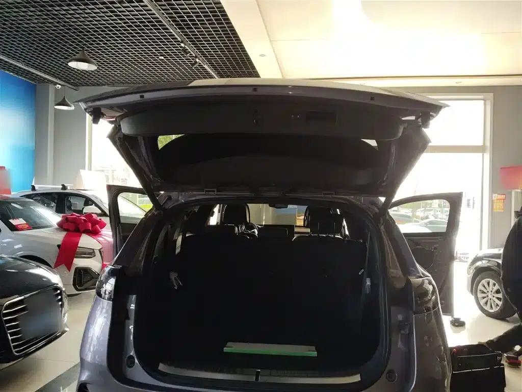 Denza X 2020 PHEV Flagship Edition — миниатюра 19