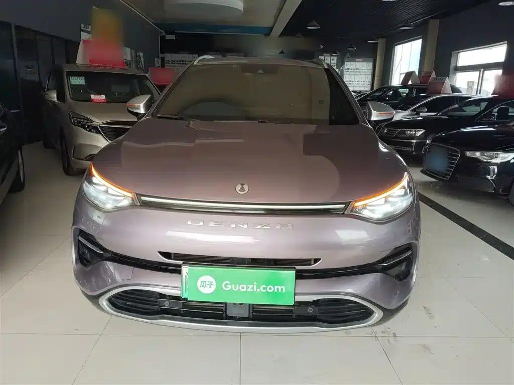 Denza X 2020 PHEV Flagship Edition — миниатюра 3