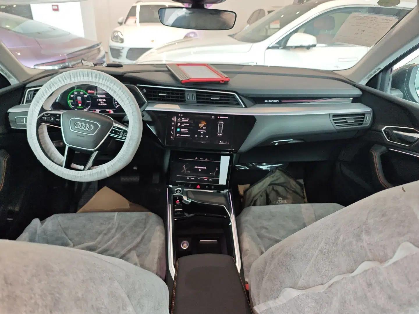 Audi e-tron 2021 50 quattro Luxury Edition — миниатюра 13