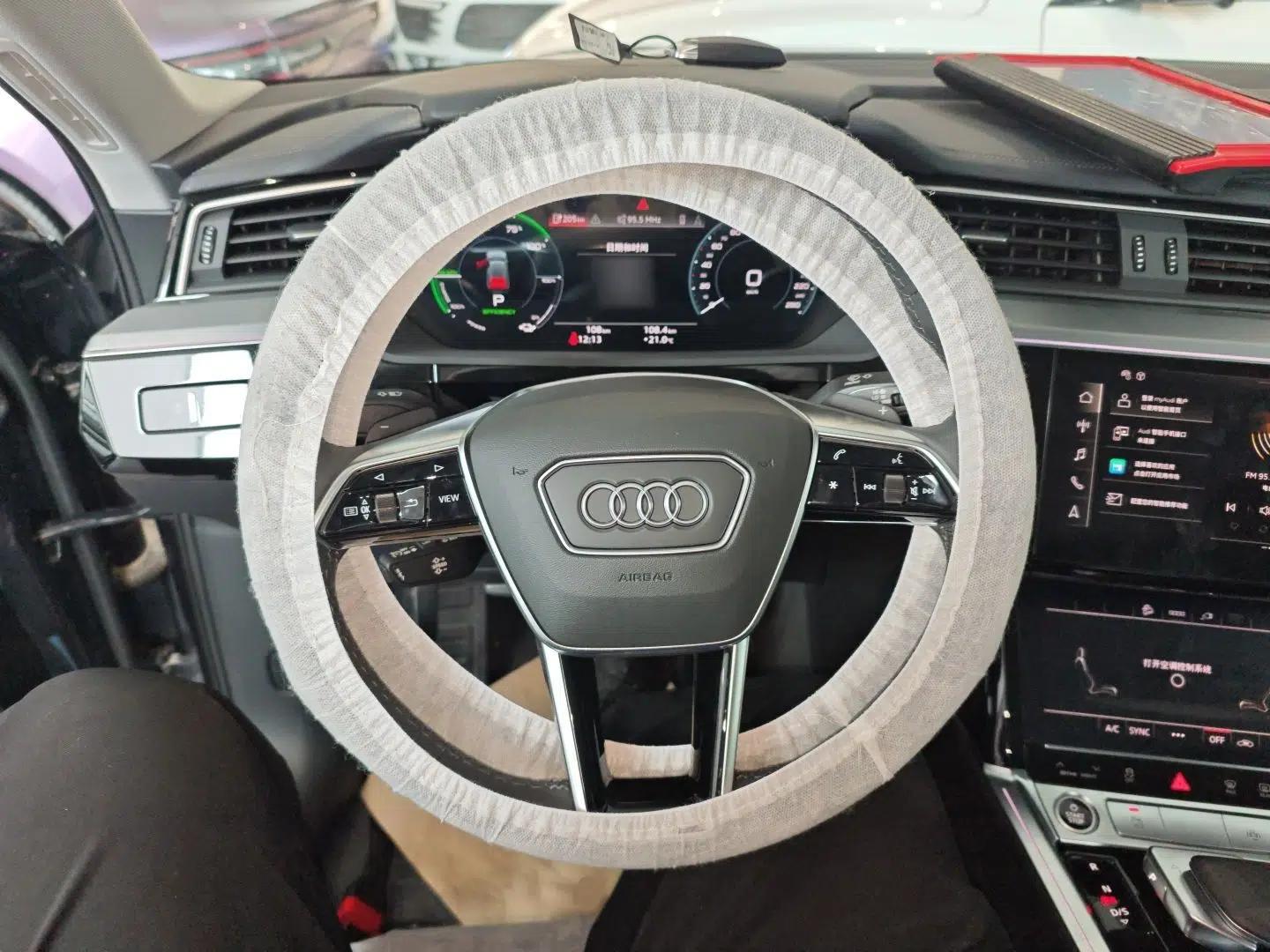 Audi e-tron 2021 50 quattro Luxury Edition — миниатюра 14