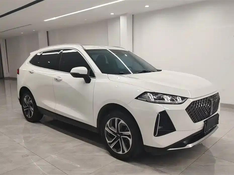 Macchiato DHT-PHEV 2021 1.5L Master Edition — миниатюра 13