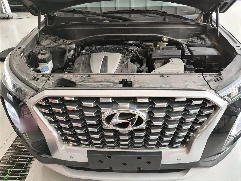 Palisade 2021 3.5L Automatic AWD GLS — миниатюра 16