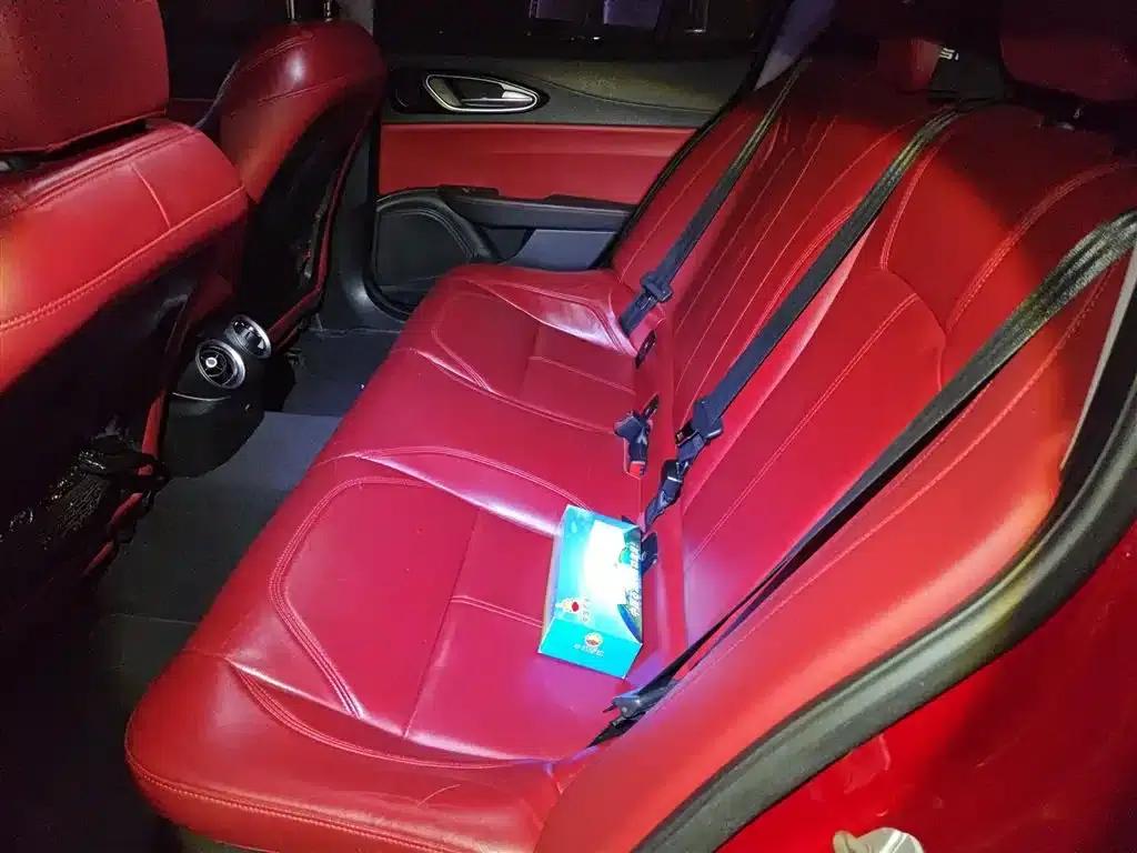 Giulia Juliet 2017 2.0T 200HP Elite Edition — миниатюра 15