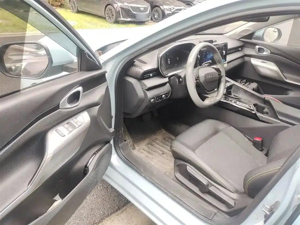 Baojun Valli 2021 1.5T Yili Ranch CVT Luxury Edition — миниатюра 12