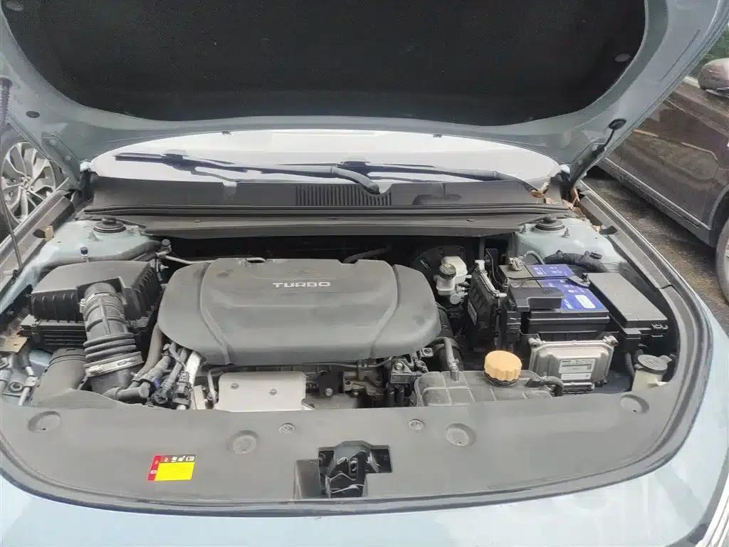 Baojun Valli 2021 1.5T Yili Ranch CVT Luxury Edition — миниатюра 16