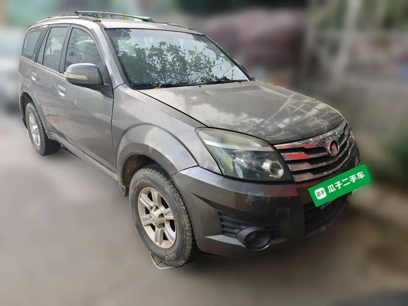 Haval H3 2010 Ruiyi Edition 2.0L Elite Model — миниатюра 3