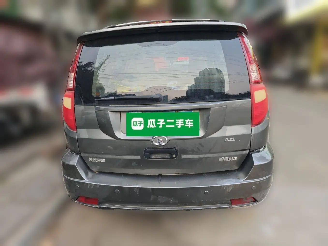 Haval H3 2010 Ruiyi Edition 2.0L Elite Model — миниатюра 5