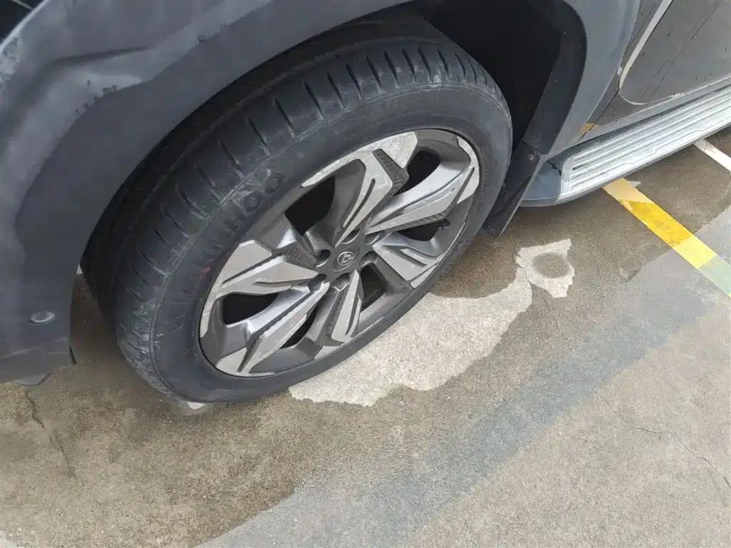 SAIC MAXUS D90 2017 2.0T Automatic 4WD Sirius — миниатюра 25