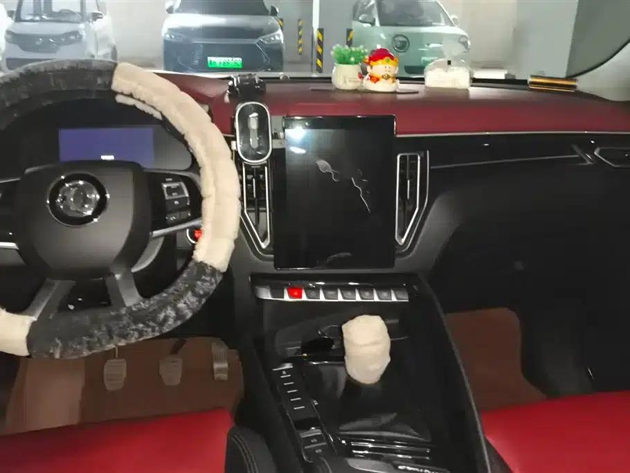 Fengxing T5 2018 230T Manual Smart Edition — миниатюра 12