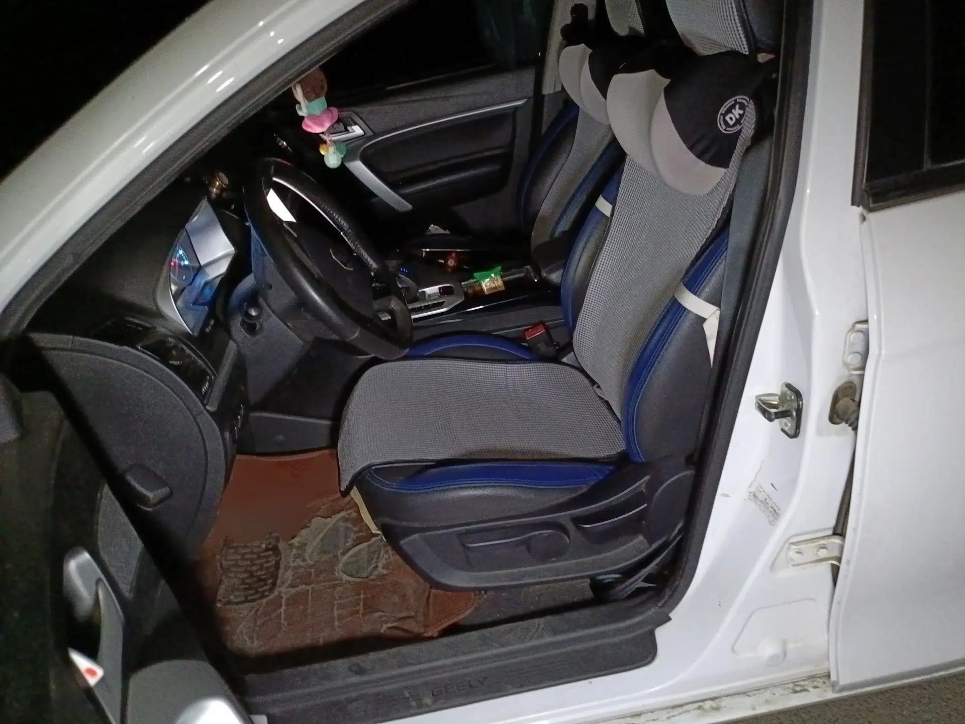 Geely Auto Emgrand New Energy 2016 EV Elite Model — миниатюра 16