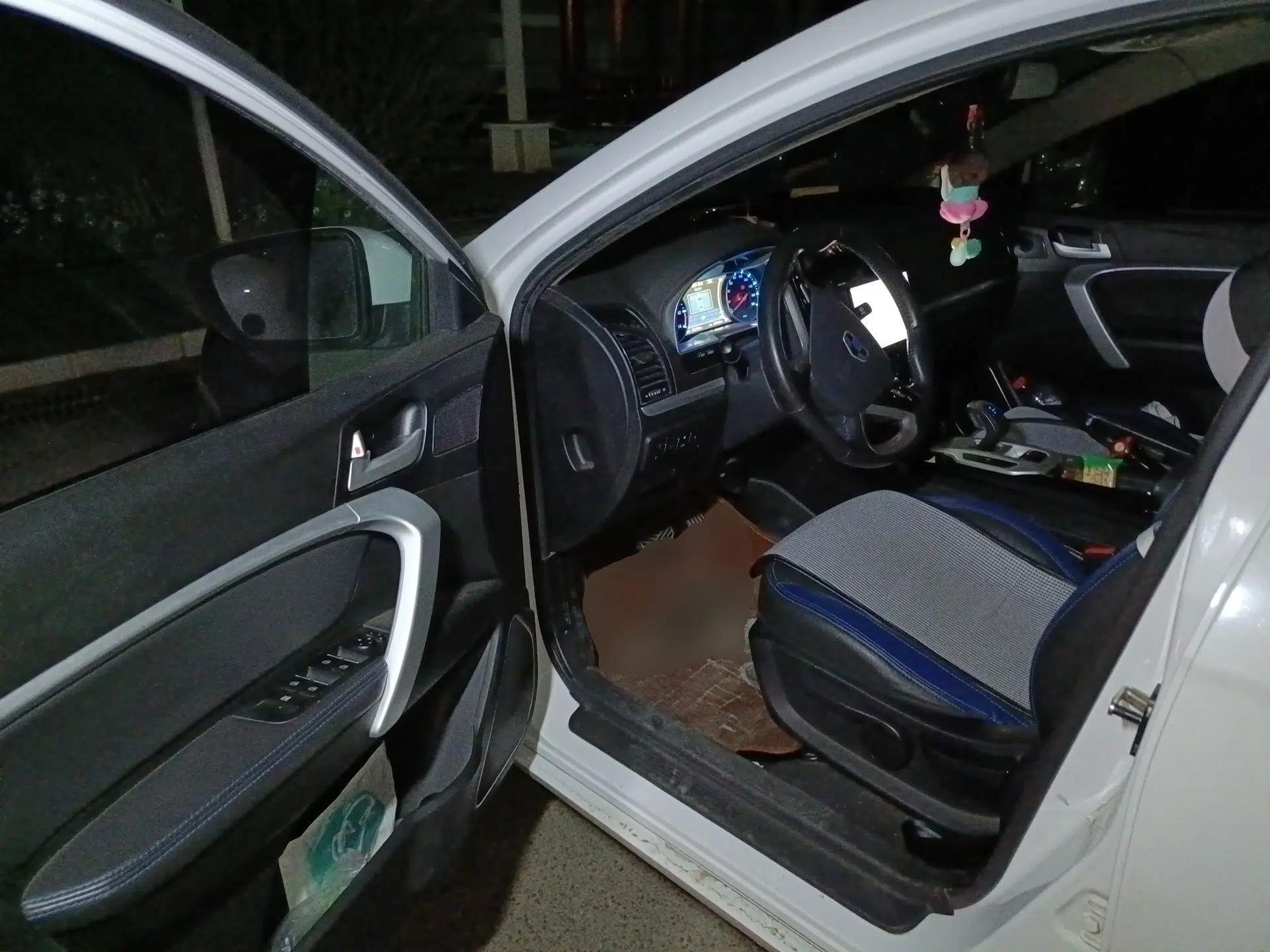 Geely Auto Emgrand New Energy 2016 EV Elite Model — миниатюра 17