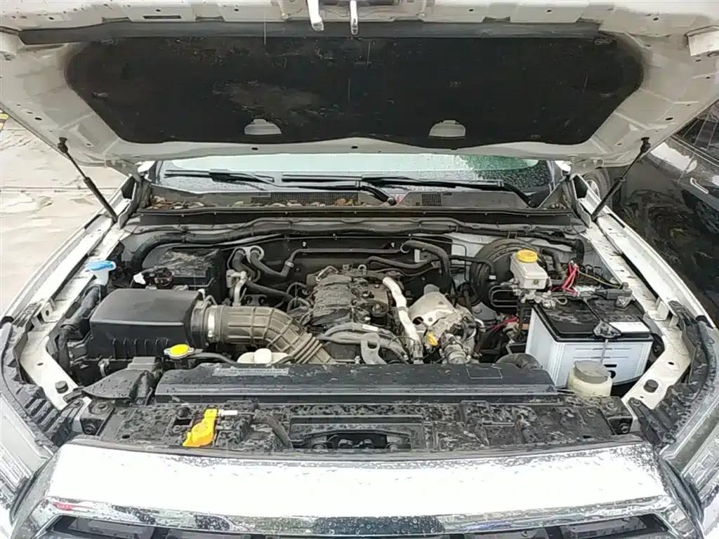 Palazzo 2021 1.8T Manual 4WD Elite Edition — миниатюра 11
