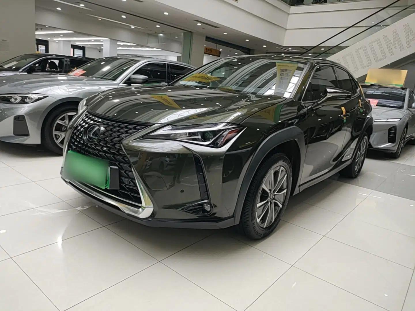 Lexus UX New Energy 2020 300e Pure·Enjoy Edition — миниатюра 1