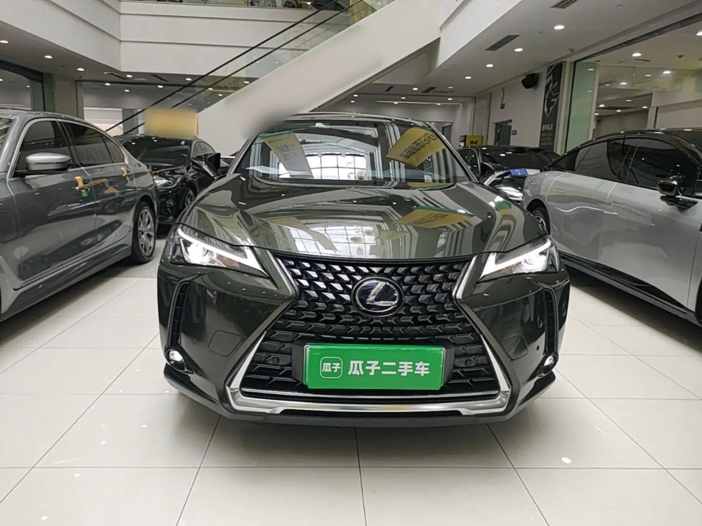 Lexus UX New Energy 2020 300e Pure·Enjoy Edition — миниатюра 2
