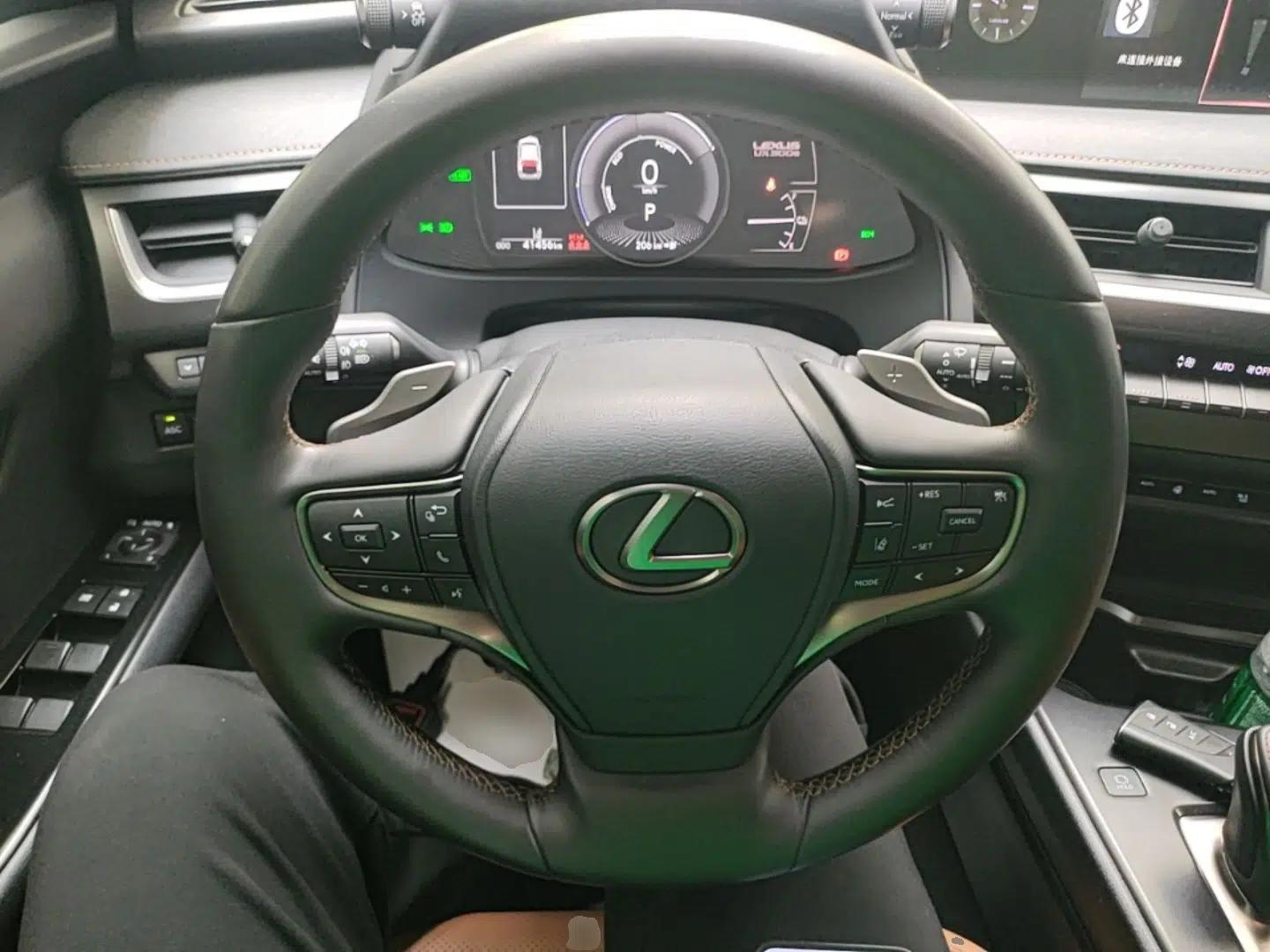 Lexus UX New Energy 2020 300e Pure·Enjoy Edition — миниатюра 14