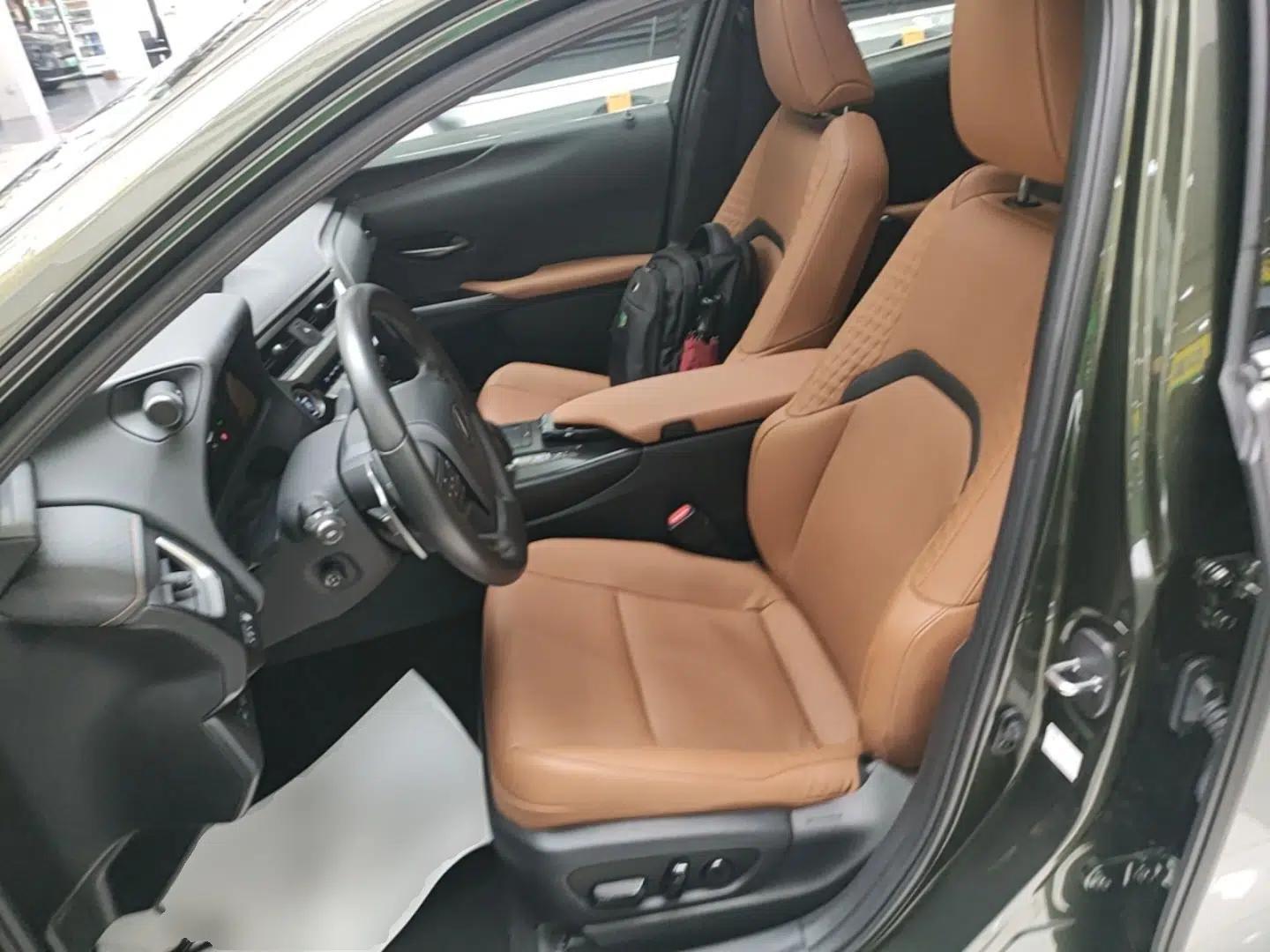 Lexus UX New Energy 2020 300e Pure·Enjoy Edition — миниатюра 18