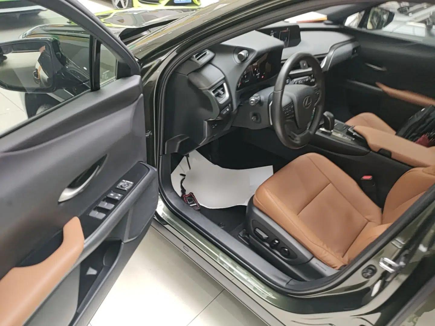 Lexus UX New Energy 2020 300e Pure·Enjoy Edition — миниатюра 19