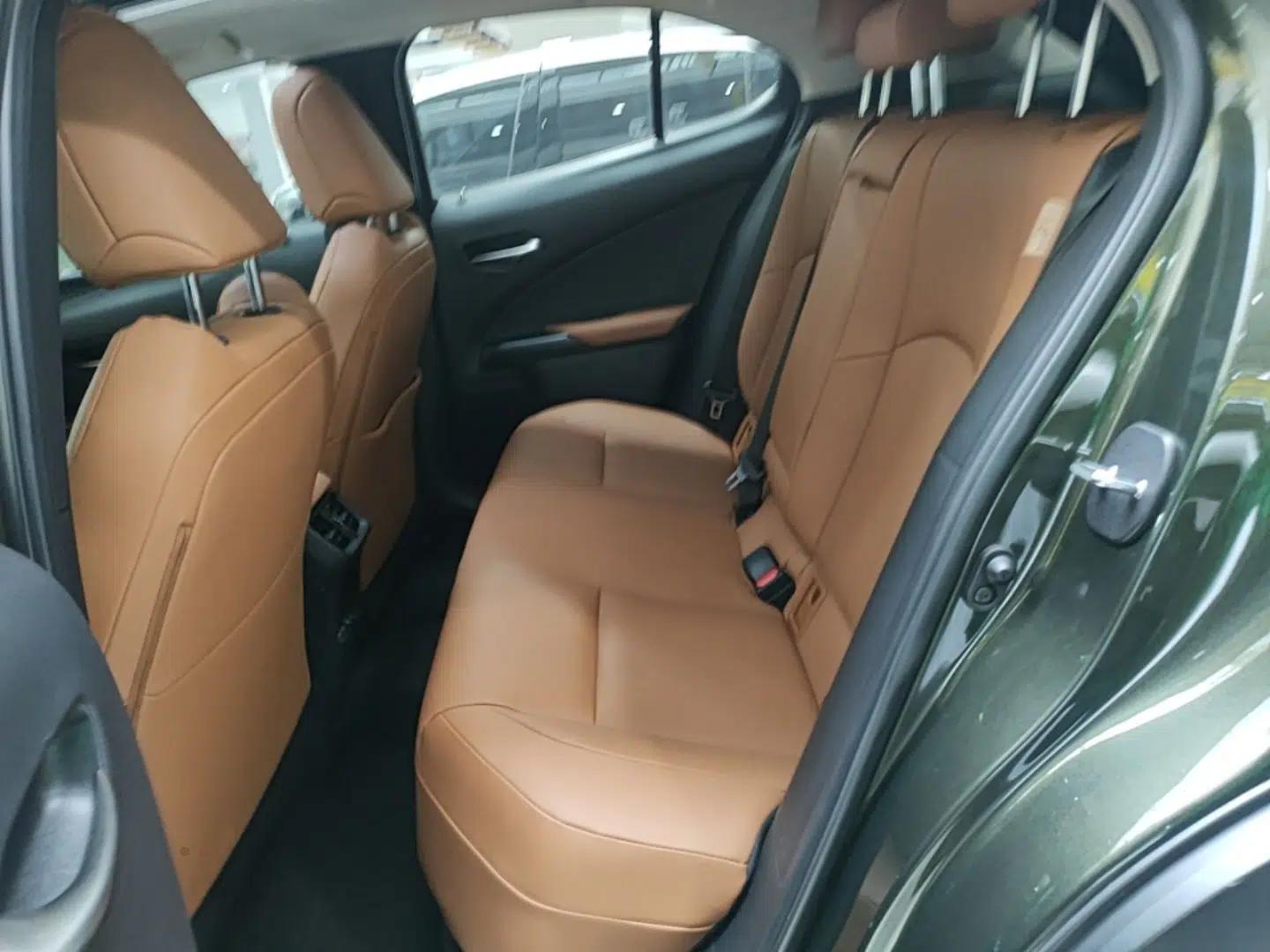 Lexus UX New Energy 2020 300e Pure·Enjoy Edition — миниатюра 20