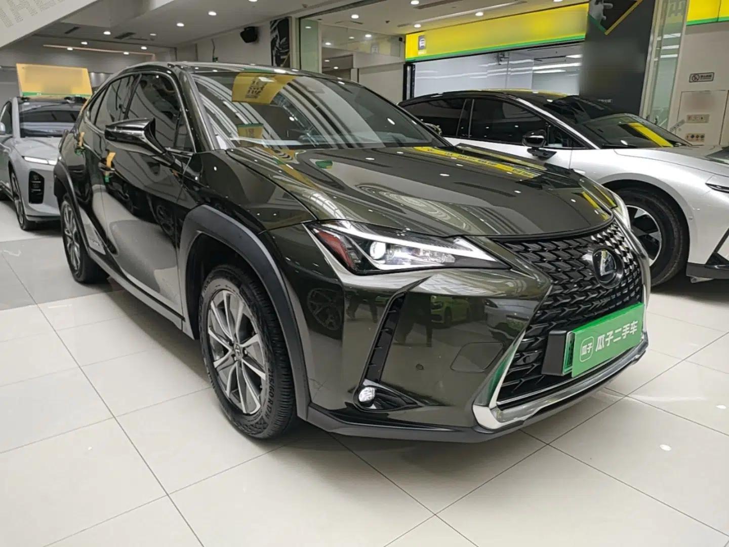Lexus UX New Energy 2020 300e Pure·Enjoy Edition — миниатюра 3