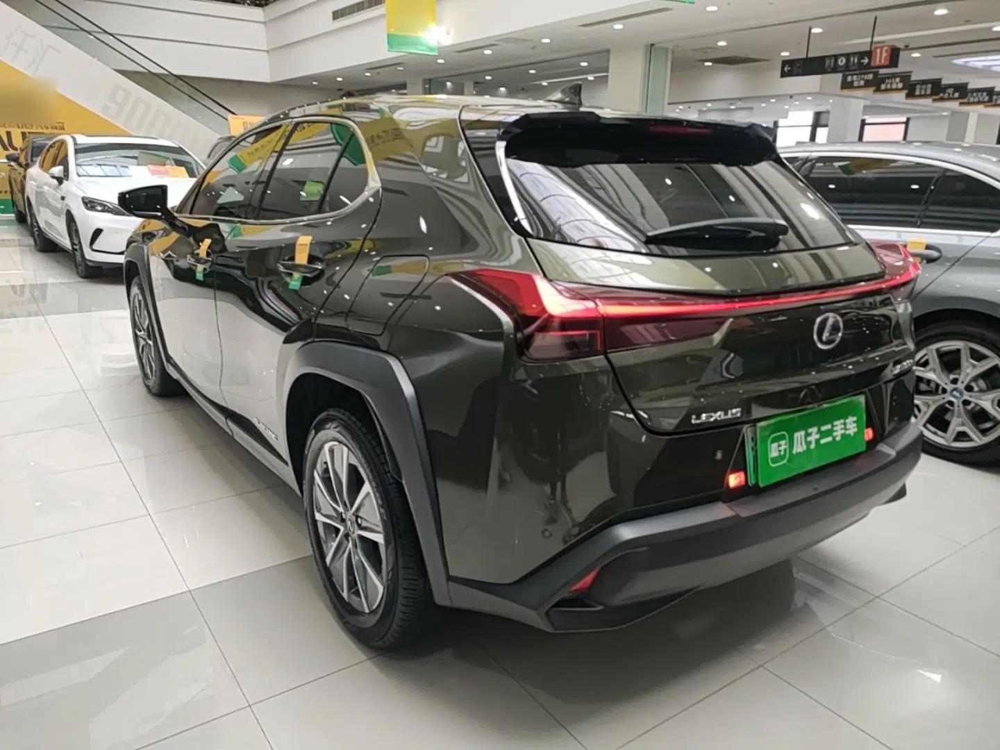 Lexus UX New Energy 2020 300e Pure·Enjoy Edition — миниатюра 4