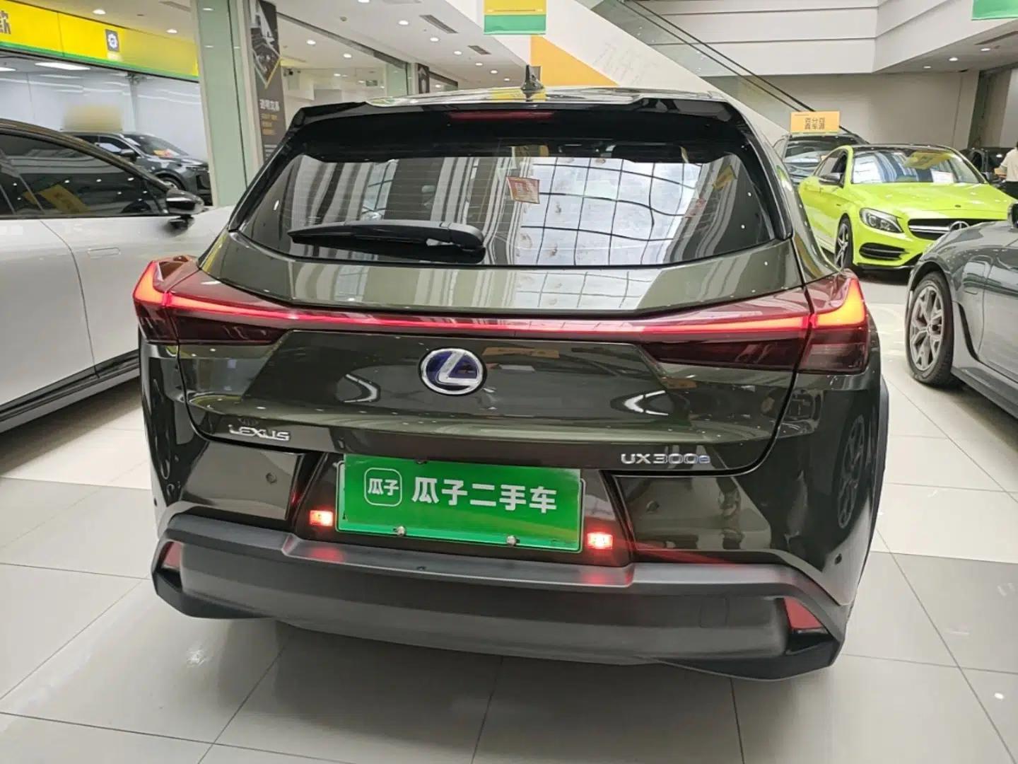 Lexus UX New Energy 2020 300e Pure·Enjoy Edition — миниатюра 5