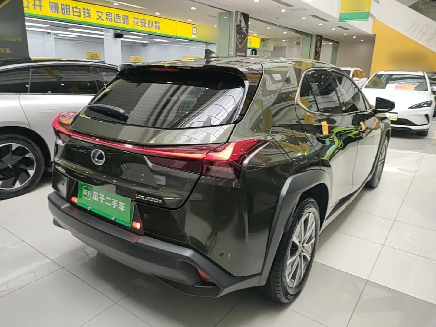 Lexus UX New Energy 2020 300e Pure·Enjoy Edition — миниатюра 6