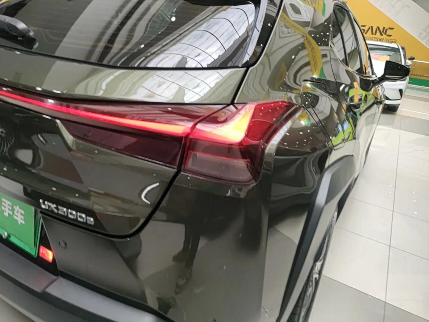 Lexus UX New Energy 2020 300e Pure·Enjoy Edition — миниатюра 7
