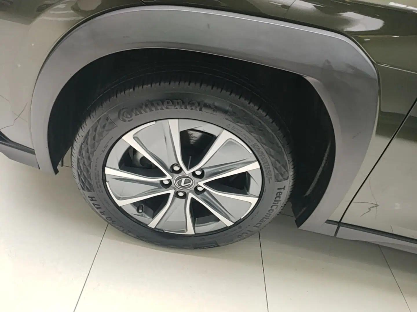 Lexus UX New Energy 2020 300e Pure·Enjoy Edition — миниатюра 8