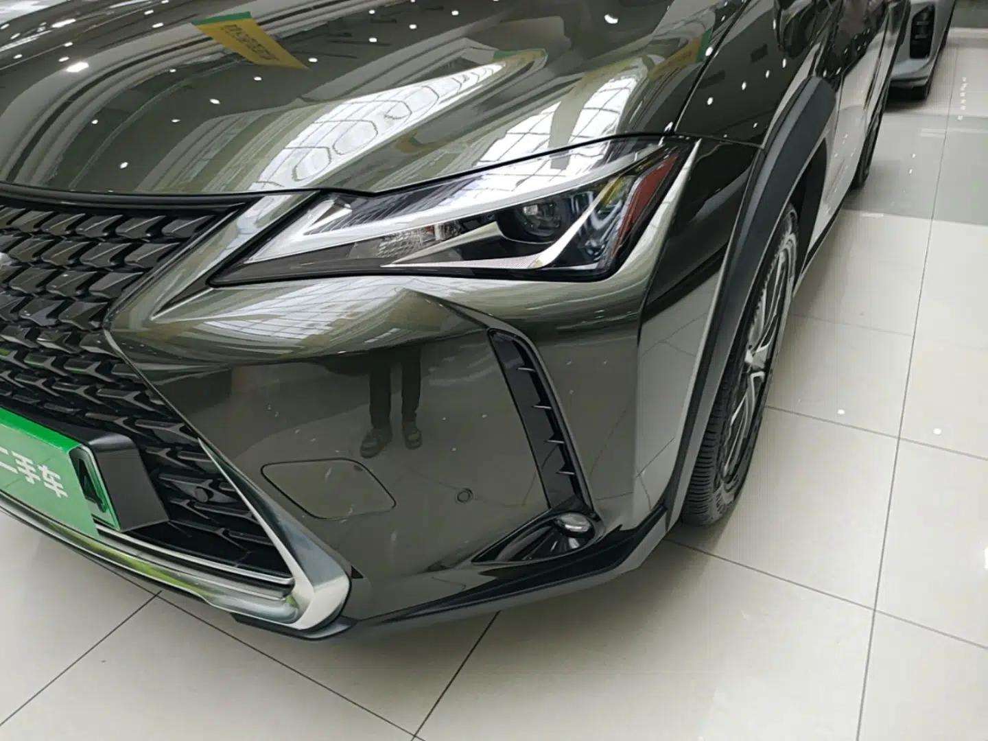 Lexus UX New Energy 2020 300e Pure·Enjoy Edition — миниатюра 9