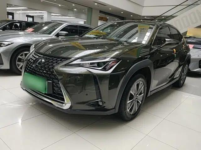 Lexus UX New Energy 2020 300e Pure·Enjoy Edition