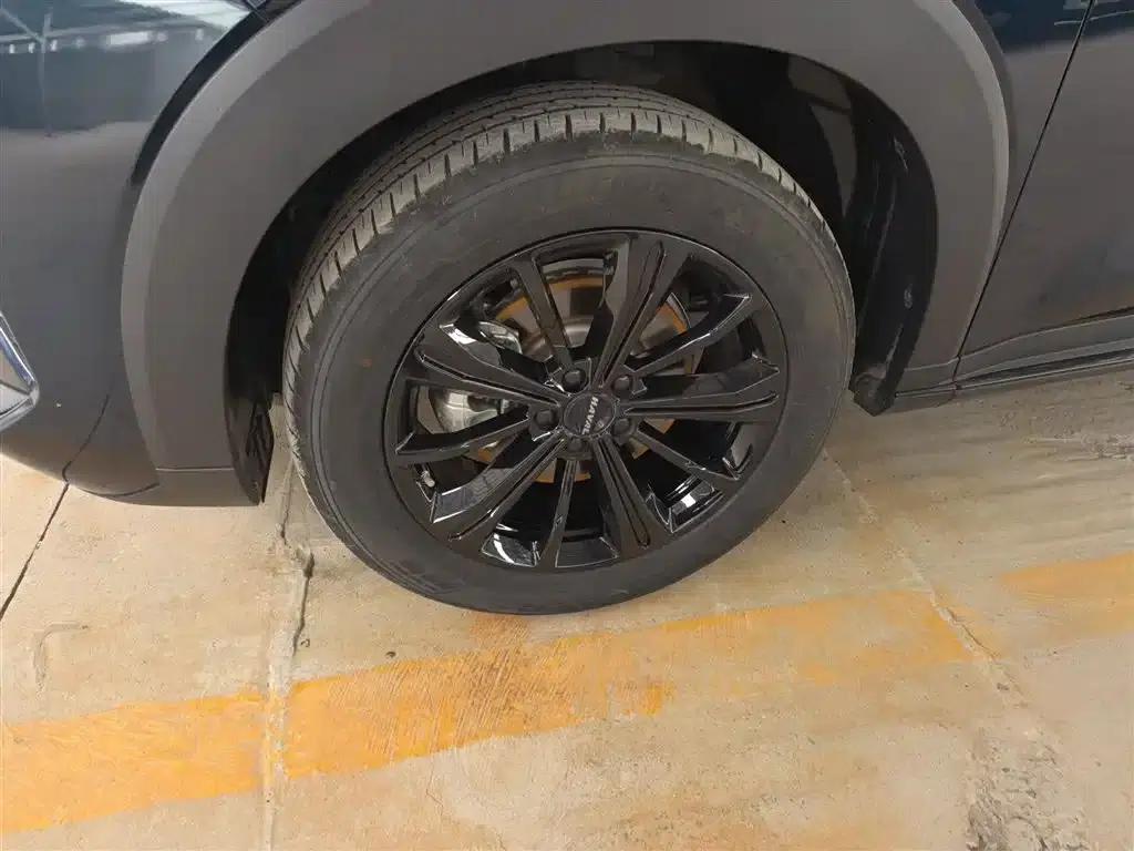 Haval H6S 2022 2.0T 2WD Sportage Edition — миниатюра 25