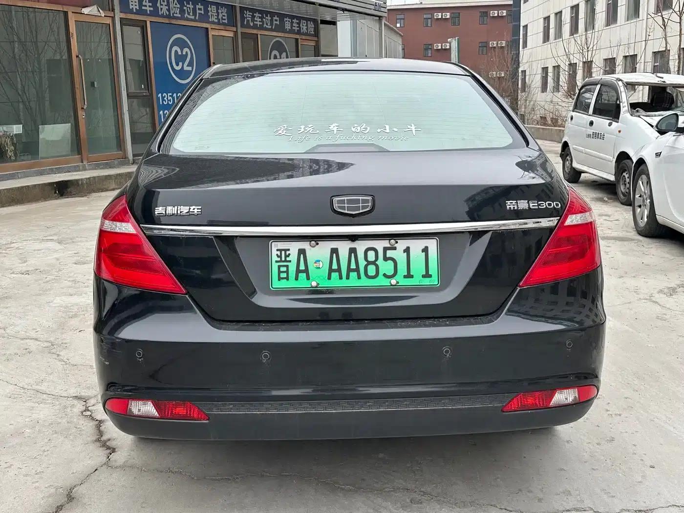 Geely Emgrand New Energy 2017 EV300 Elite — миниатюра 8
